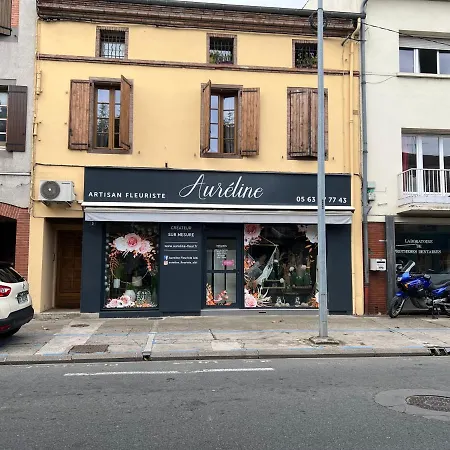 Lejlighed Bel Appartement Coeur D'Albi